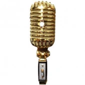 Doppler RT-65 Nostaljik Retro Mikrofon Elvis Mikrofon Gold Altın-Çantalı - 2