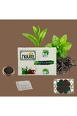 Noura Natural Demlik Poşet Naneli Siyah Çay 22 Adet - 4