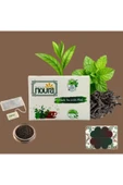 Noura Natural Bardak Poşet Naneli Siyah Çay 25 Adet - 4