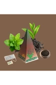 Noura Natural Bardak Poşet Naneli Siyah Çay 10'lu - 4
