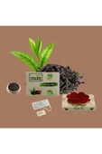 Noura Natural Bardak Müslin Poşet Siyah Çay 25 Adet - 3