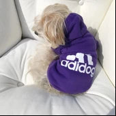 Mor Sporty Duo Adidog Sweatshirt - 6