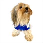 Saks Mavi Adidog Kapşonlu Duo Köpek Sweatshirt Köpek Kazağı - 7
