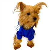 Saks Mavi Adidog Kapşonlu Duo Köpek Sweatshirt Köpek Kazağı - 6