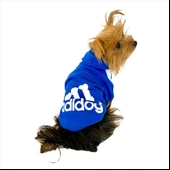 Saks Mavi Adidog Kapşonlu Duo Köpek Sweatshirt Köpek Kazağı - 3