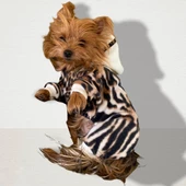 Leo Chique Polar Kapşonlu Köpek Tulumu Kıyafeti - 6