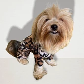 Leo Chique Polar Kapşonlu Köpek Tulumu Kıyafeti - 3