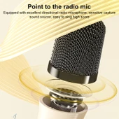 WK D43 Mini Karaoke Bluetooth Hoparlör Siyah - 2