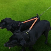 TPU Malzemeli Çiftli Düğümsüz Köpek Gezdirme Tasması 25 cm Yeşil - 8
