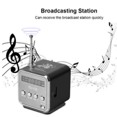 Taşınabilir Mini FM Radyo USB Hoparlör Mavi - 2