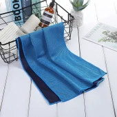 Emici Polyester Hızlı Kuruyan Nefes Alabilir Soğutucu Spor Havlusu Açık Mavi 30x100 cm - 1