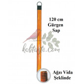 1,2 metre Gürgen Sap - 1