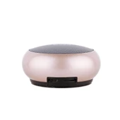EWA A110 IPX5 Suya Dayanıklı Taşınabilir Mini Metal Kablosuz Bluetooth Hoparlör Altın - 1