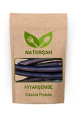 Naturşah Hıyarşembe / Cassia Fistula 50 Gr - 1