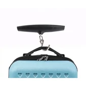 Taşınabilir Elektronik El Tartısı thumbnail 2