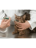 Kedi Köpek Hap Yutturma Enjektörü Yumuşak Uçlu - 3