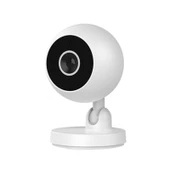 A2 1080P HD WiFi Akıllı Gözetim Kamerası Gece Görüşlü - 1