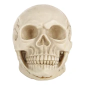 Beyaz Kafatası Dekoratif Hallowmas Prop Gösterim 19x13x14 cm - 2