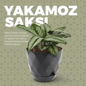 Omnipazar KRS-454 Yakamoz Tabaklı Plastik Saksı Takımı 4.8 Litre No 4 thumbnail 5