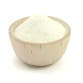 Yüksek Kaliteli Süt Tozu 500gr - 1