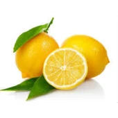 Limon Bonesi / 500 Adet / Bitki Çayı Bonesi - 5