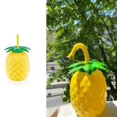 Ananas Pipetli Suluk - 3