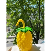 Ananas Pipetli Suluk - 14