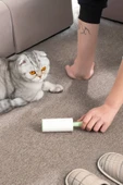 Porsima 3108 Kedi Köpek Tüy Toplayıcı Yedek Rulo 4 Adet - 5