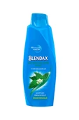 Blendax Isırgan Otlu Şampuan 500 Ml - 1