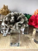 Krıstal Kaideli Mercan Biblo Gümüş - 1