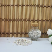Nassa Shell Yerli Boyanmiş Kiloluk Deniz Kabuğu (1 KG - 4