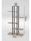 Dizayn Motion Zigzag Tasarımlı 4 Raflı Dekoratif Çiçeklik 150cm Ceviz - 5