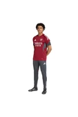adidas Erkek  Bordo  Forma AFC EU TR JSY JI9568 - 6