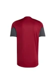 adidas Erkek  Bordo  Forma AFC EU TR JSY JI9568 - 2