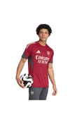 adidas Erkek  Bordo  Forma AFC EU TR JSY JI9568 - 5