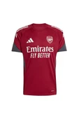 adidas Erkek  Bordo  Forma AFC EU TR JSY JI9568 - 1