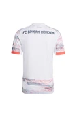 adidas  Erkek  Forma FCB A JSY JJ2143 - 2