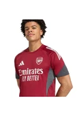 adidas Erkek  Bordo  Forma AFC EU TR JSY JI9568 - 8