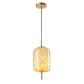 Apliqa Lewi 10 Watt 3000K Eskitme Bal Camlı Tekli Peri Led Sarkıt Avize thumbnail 1