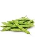 Fasulye Tohumu 50 Gr - 1