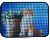 Miapet Elekli Desenli Kedi Tuvalet Önü Paspası 60 x 45 cm Saksı - 1