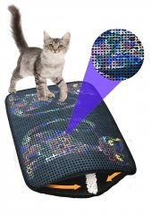 Miapet Elekli Desenli Kedi Tuvalet Önü Paspası 60 x 45 cm Yan Kediler - 2