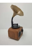 Proton Nostaljik Mini Bluetooth Radyo Gramafon Speaker - 1