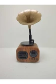 Proton Nostaljik Mini Bluetooth Radyo Gramafon Speaker - 4