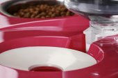 Miapet Çelik Taslı Hazneli Kedi-Köpek Mama Ve Su Kabı Seti 500ml Gri - 4