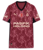 Galatasaray S.K. Parçalı Forma 25/26 İç Saha Forması Parçalı Erkek Forma thumbnail 4