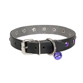 Doggie Taşlı Kedi ve Yavru Köpek Tasması 1*23 cm Mavi Medium - 4