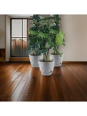 Omnipazar KRS-457 Yakamoz Tabaklı Plastik Saksı Takımı 26 Litre No 7 thumbnail 8