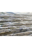 FarmLife Tohum 10 Adet Bambu Bitki Destek Çubuğu 150 Cm (ÇOK KALIN VE DAYANIKLI) - 4
