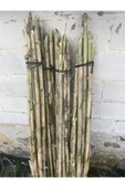 FarmLife Tohum 10 Adet Bambu Bitki Destek Çubuğu 150 Cm (ÇOK KALIN VE DAYANIKLI) - 1